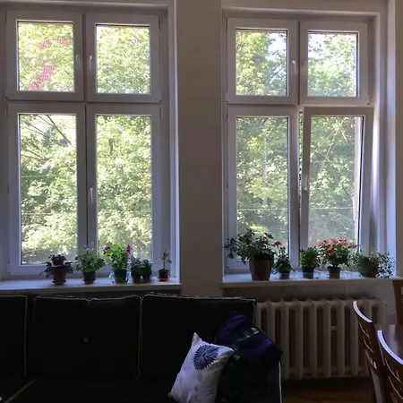 Ul. Sw Mikolaja Homestay *